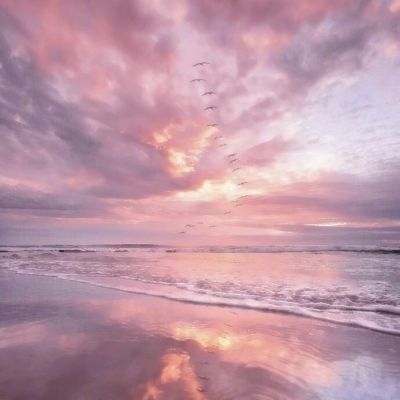 开元娱乐游戏官版正版下载